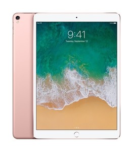 iPad Pro Rose Gold | eBay