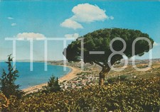 MARINE VESSEL ON THE ADRIATIC ABRUZZO (CHIETI) 1981