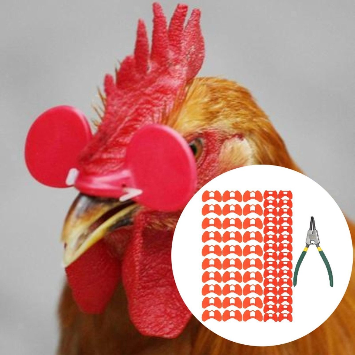 Schraubenlose Hühnerbrillen, Plastik-Augengläser für Geflügel, Landwirtschaftsausrüstung, Geflügelzucht-Zubehör Schraubenlose Hühnerbrillen, Plastik-Augengläser für Geflügel, Landwirtschaftsausrüstung, Geflügelzucht-Zubehör