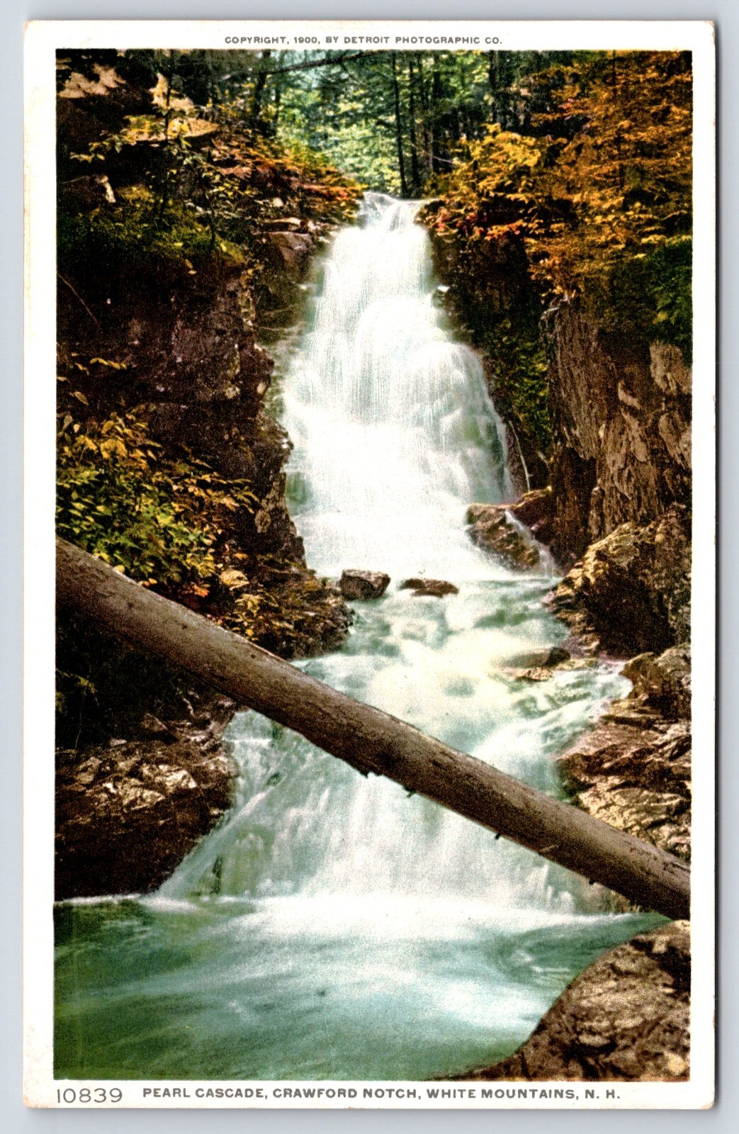 Foto 1 di 2