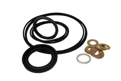Seal Kit for White Hydraulics W21526098 - Hydraulic Motor