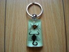 Bild 1 von 3