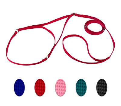 Country Brook Design  Nylon Martingale Dog Show Lead