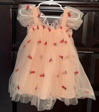 Girls Peach Tulle Butterfly Floral Embroidered Party Tutu Dress Knee Length