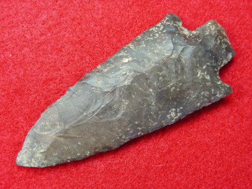 BUCK CREEK 3-1/2" KENTUCKY Authentic Indian Relics - Picture 16 of 16