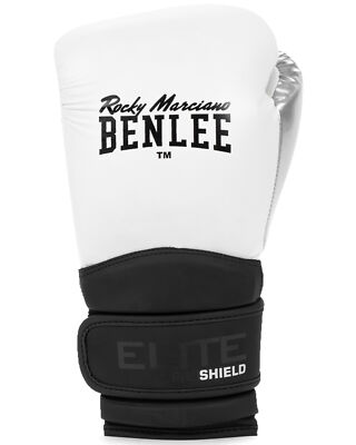BenLee Boxing Glove Brampton
