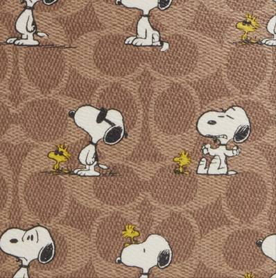 NWT Coach X Peanuts Sullivan Crossbody Bag In Signature Canvas
