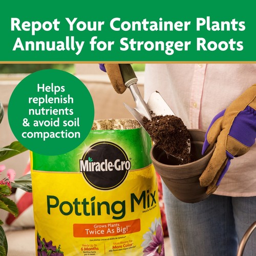 Premium Potting Mix for Container Plants, Flowers & Shrubs - 1 Cu. Ft. - Picture 5 of 11