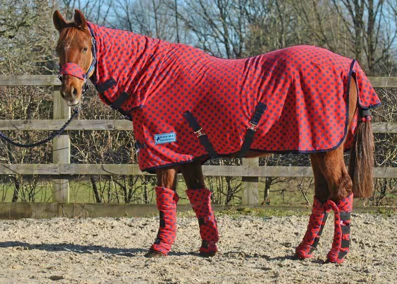 Fleece 2024 horse rug