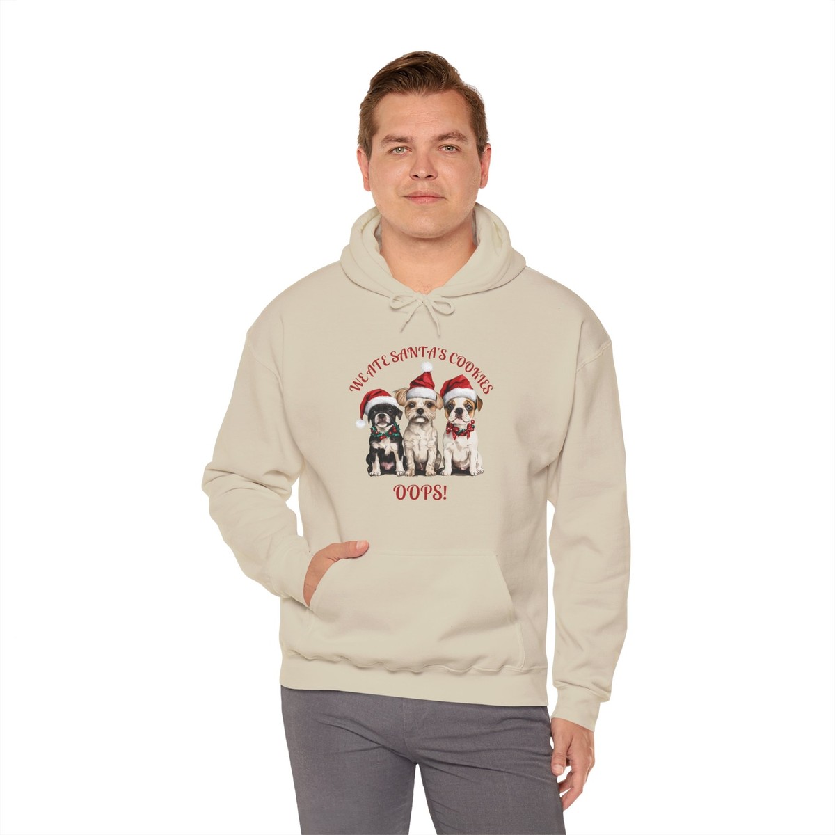Cute Dog Christmas Sweatshirt, Pet Lover Gift, Holiday Hoodie, Dog Mom  Apparel,