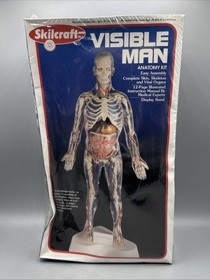 Vintage Skilcraft Visible Man Anatomy Model Kit (40155) Sealed Box