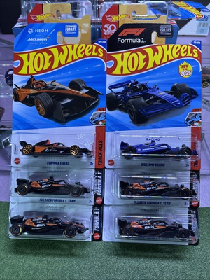 #ad Hot Wheels Formula One Lot Williams Racing Mclaren Formula 1 Formula E 🔥🔥 $24.99