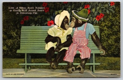 POSTCARD- A green bench romance at Florida Wild Animal Ranch St Petersburg FL