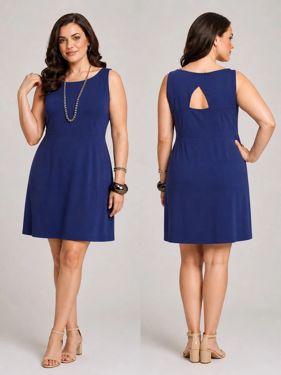 rajputi dress for ladies Shop Pure Rajputi Poshak for Women  Rani Silk Zardozi Dress