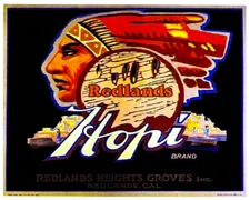 Hopi Orange Redlands San Bernardino California Citrus Crate 8"x10 Photograph