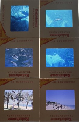 Lots Of 6 Kodachrome Transparencies Slides Sea & Beaches From Florida 1968