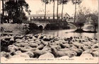 *74546 postcard 51 Mourmelon le Grand - le Pont du Berger