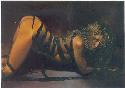 NEW AMERICAN PIN-UP, THE 1997 COMIC IMAGE PROMO CARD 1 OF 5  DAVID NESTLER 