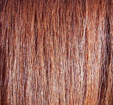 1lb Horse Tail Extension Fake Tail Sorrel by KATHY'S TAILS Free Cotton Bag 