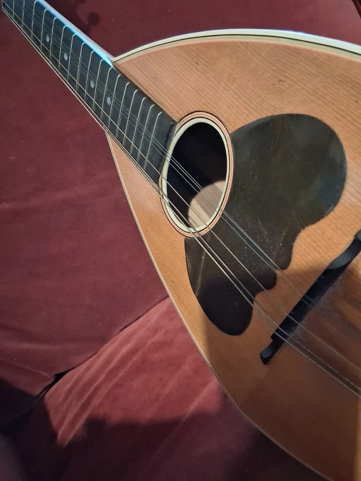 1920s MAURER MANDOLIN MADE BY THE LARSON BROTHERS "TATER^ DESIGN - Image 4 of 4