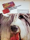 1966 Top Choice Meat Burger Dog Food Vintage 60s Print Ad Old English Sheepdog