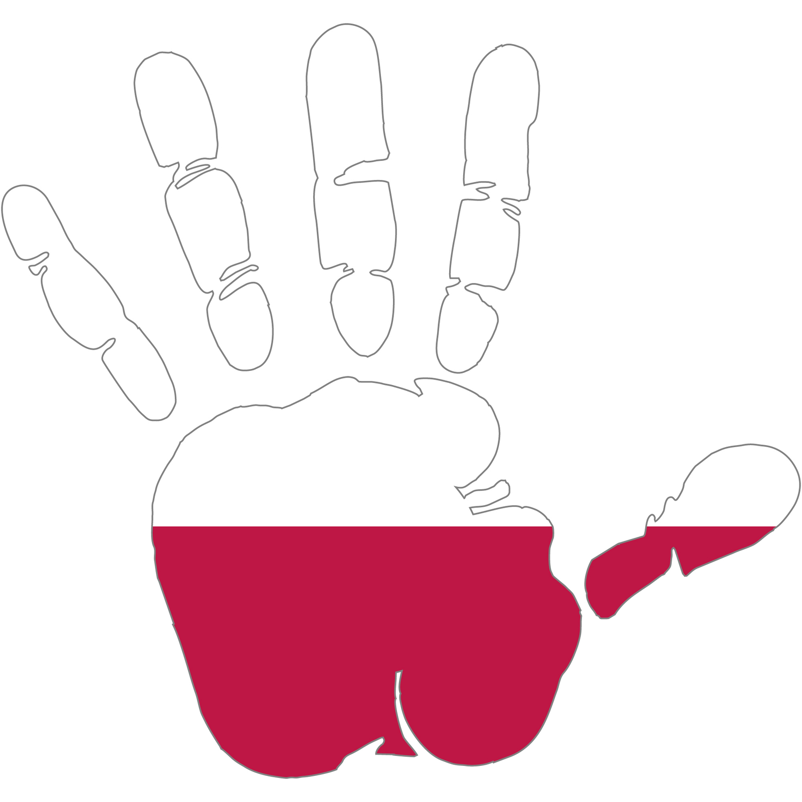 Bild 1 von 49