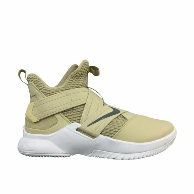 lebron soldier 12 team