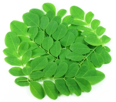 Dried Moringa Oleifera Leaf Leaves/powder  100%Organic natural premium quality A