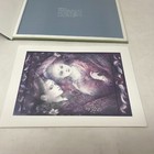 Foto 12 di 12