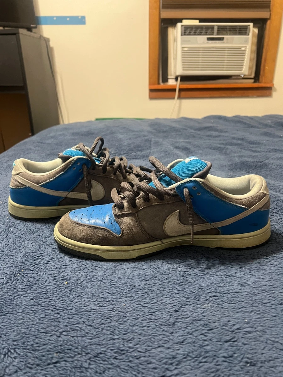 Nike Dunk Pro SB Low Aqua Chalk for Sale | Authenticity Guaranteed