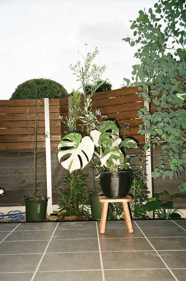 Tested [N MINT w/case] Leica C3 Vario Elmar 28-80mm 35mm Film Camera JAPAN #128 - Image 2 of 4