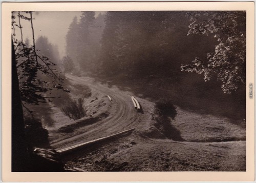 _Baden-Württemberg Morgenstimmung im Schwarzwald bei Triberg 1954 Privatfoto - Bild 2 von 3