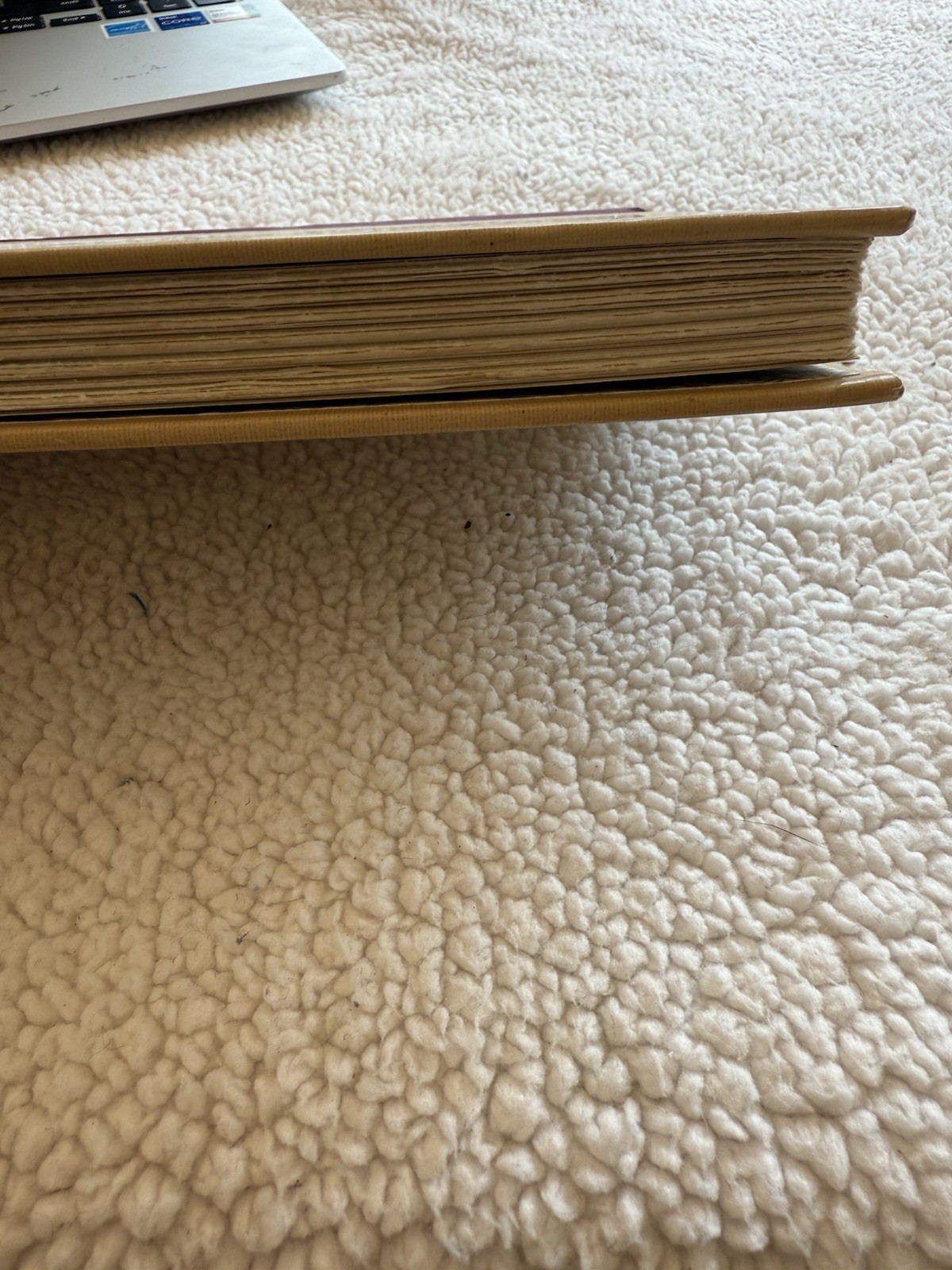 Picture 5 of 21