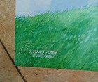 Bild 3 von 3