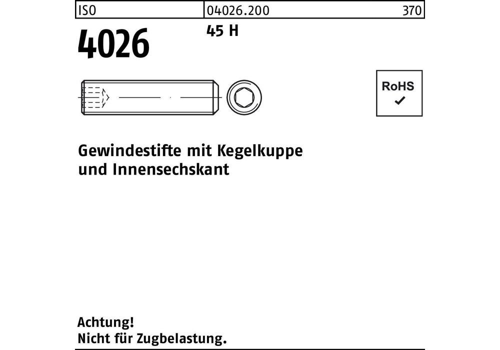 Reyher Gewindestift ISO 4026 Кегелькуппе/Иннен-6-кант M 6 x 35 45 H