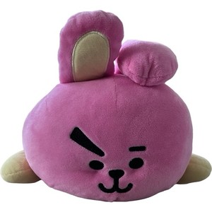Bt21 Cooky | eBay