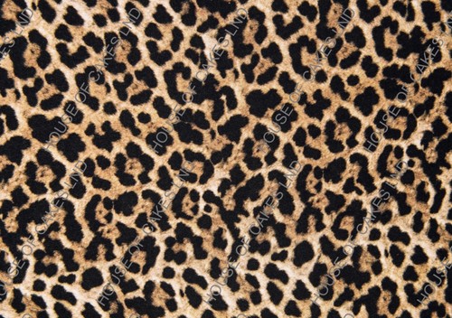 Leopardenmuster A4 ESSBARE Glasur Blatt/Verpackung - Bild 1 von 3