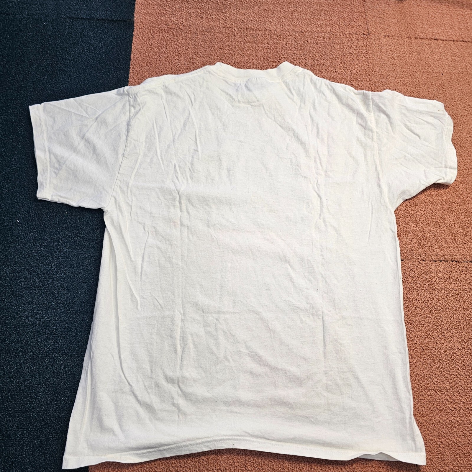 Picture 6 of 12