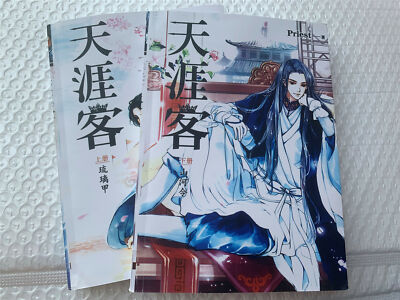 天涯客 タイ版小説 全2巻 priest s-l400.jpg