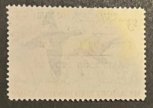 Travelstamps: 1969 US Federal Duck Stamps Scott #RW36 Used Hunter Signed - Picture 4 of 5