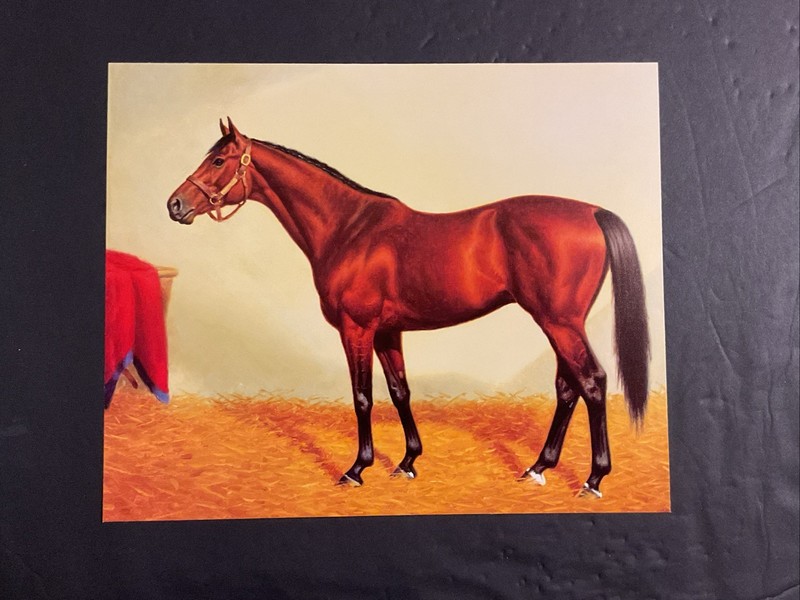 CITATION Photo Oil Painting 10 X 8 Horse Racing 1948 TRIPLE CROWN