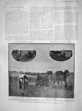 Old Antique Print 1907 Potato Harvest Horses Jean-Jacques Rousseau Statue 20th