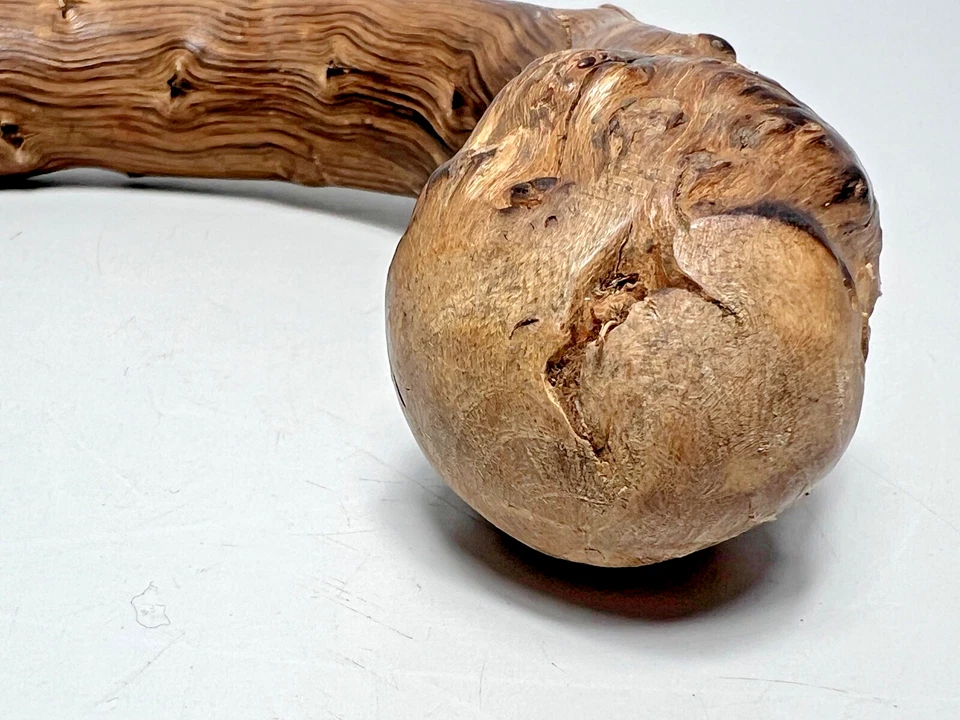 Antiguo de colección nuevo bastón de madera Blackthorn bastón mango de madera pieza solamente Foto 4 de 4