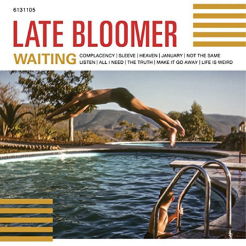 Late Bloomer Waiting (Vinyl LP) 12" Album Coloured Vinyl