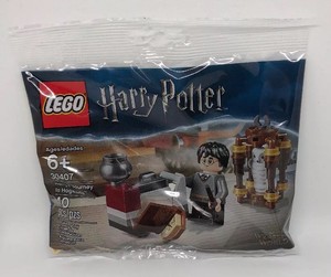 lego 30407