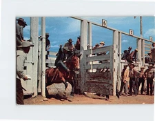 Postcard Ya Hoo Yowie! USA