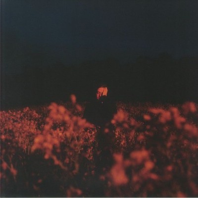 LEFTWICH, Benjamin Francis - Some Things Break - dark blue marbled vinyl LP