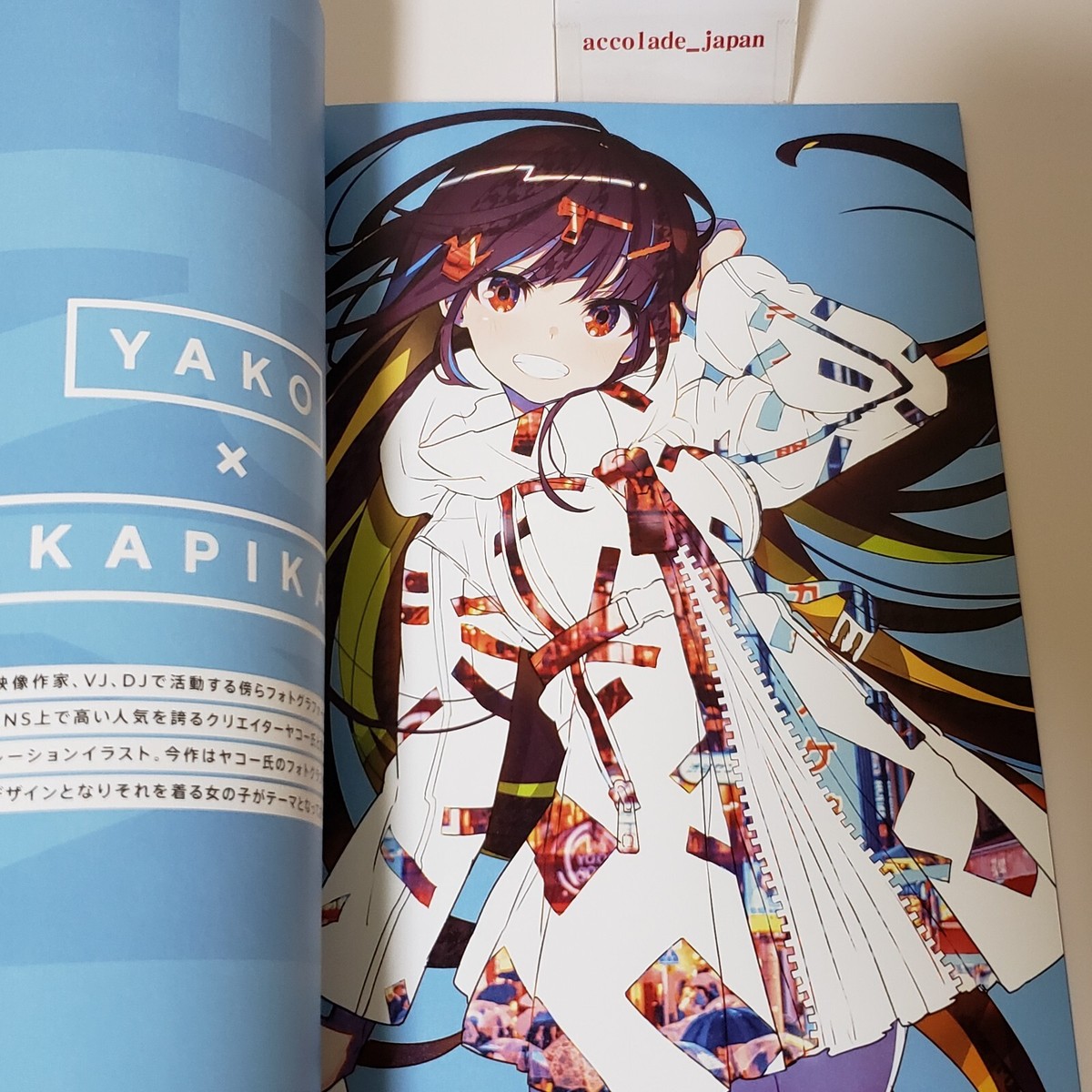 Furikake Mika Pikazo Original Art Book A4/28P Doujinshi C95 | eBay