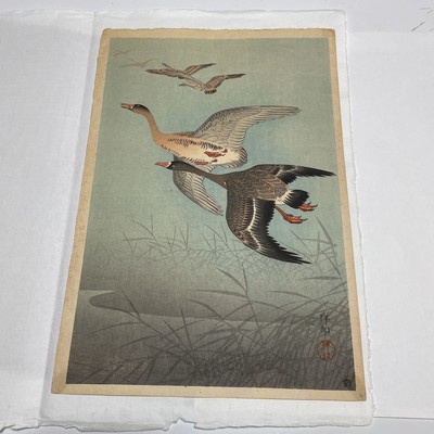 Koson [Shoson] Ohara Japanischer Holzschnitt ''liegende Ente'' [selten]
