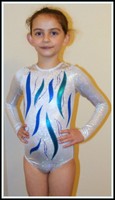 All Sizes Polar Ice Hologram Long Sleeve Gymnastics Leotard 26,28,30,32,34 All Sizes Polar Ice Hologram Long Sleeve Gymnastics Leotard 26,28,30,32,34